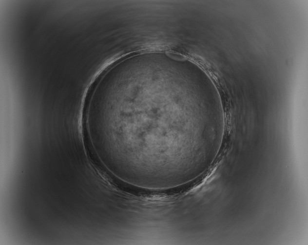 X0000093470196200710121431