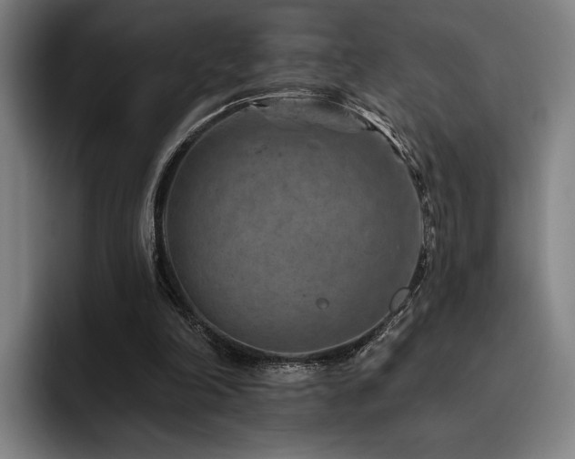 X0000093470198200710121431