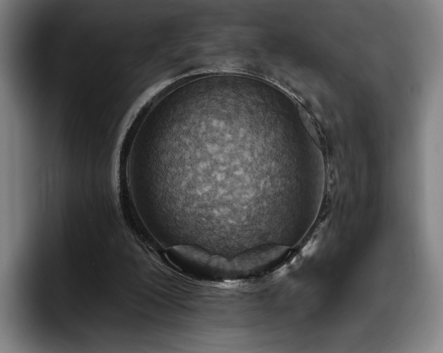 X0000093470200200710121431