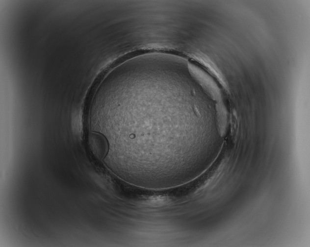 X0000093470204200710121431