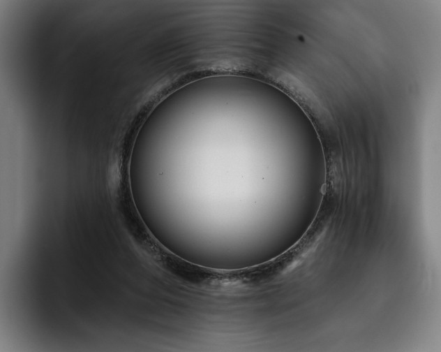 X0000093470208200710121431