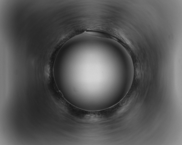 X0000093470211200710121431