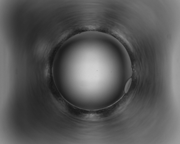 X0000093470212200710121431