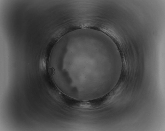 X0000093470214200710121431