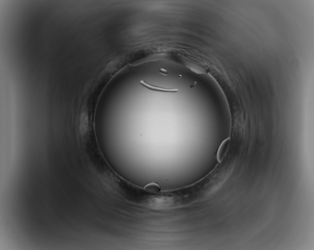 X0000093470220200710121431