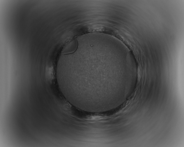 X0000093470224200710121431