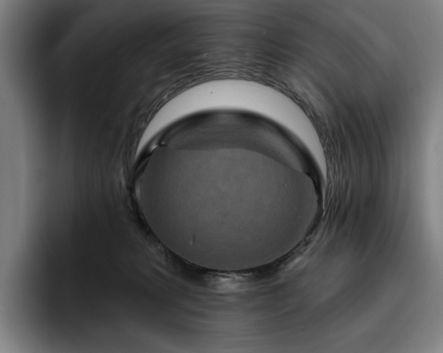 X0000093470229200710121431