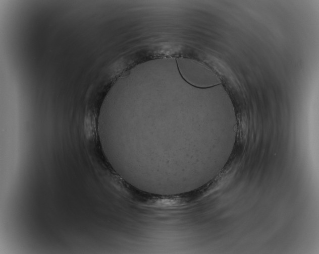 X0000093470236200710121431