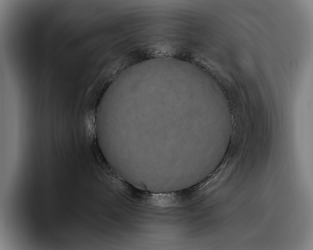 X0000093470240200710121430