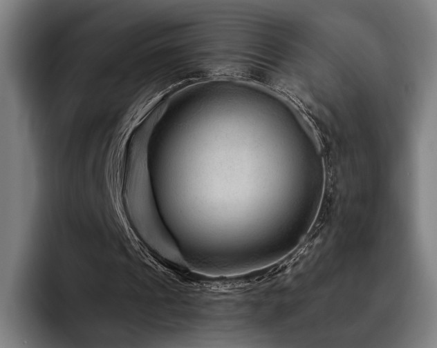 X0000093470241200710121430