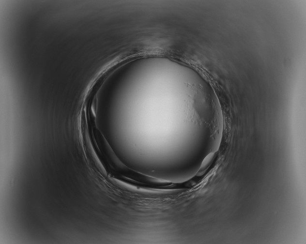 X0000093470244200710121430