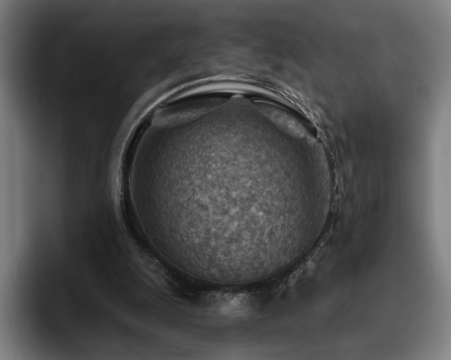 X0000093470247200710121430