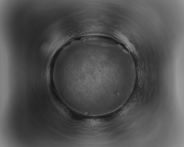 X0000093470250200710121430