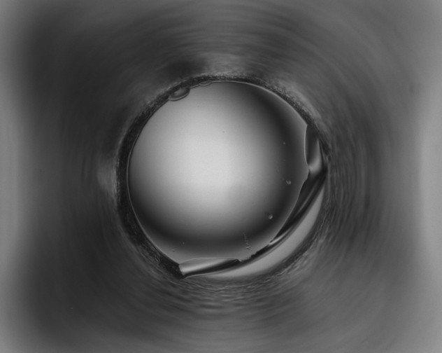 X0000093470252200710121430