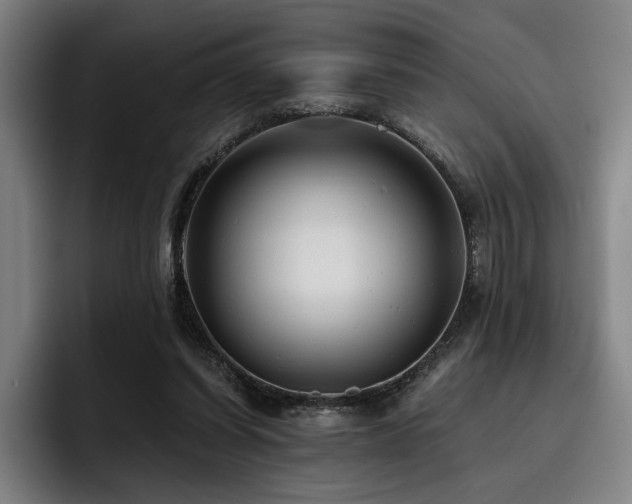 X0000093470254200710121430