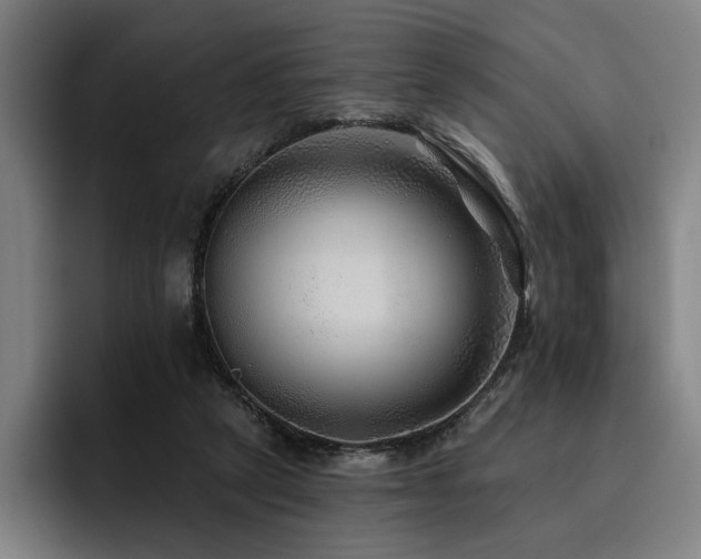 X0000093470257200710121430