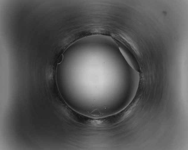 X0000093470265200710121430