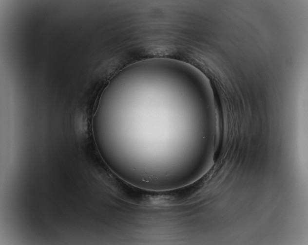 X0000093470268200710121430