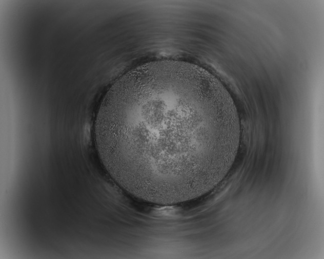 X0000093470269200710121430