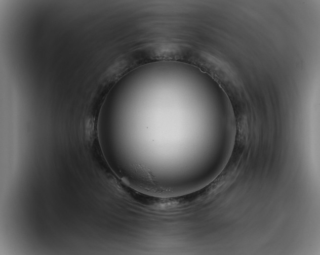 X0000093470278200710121430