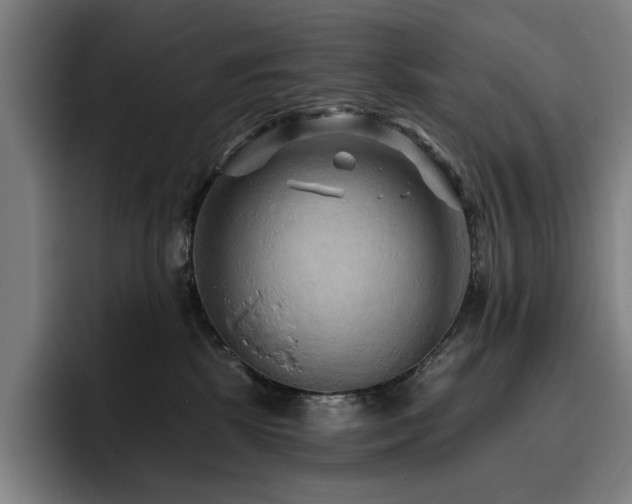 X0000093470281200710121430