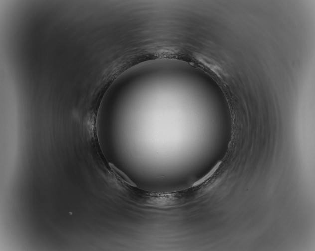 X0000093470288200710121430