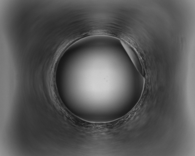 X0000093470289200710121430