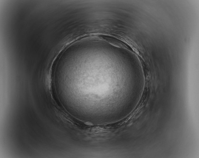 X0000093470290200710121430