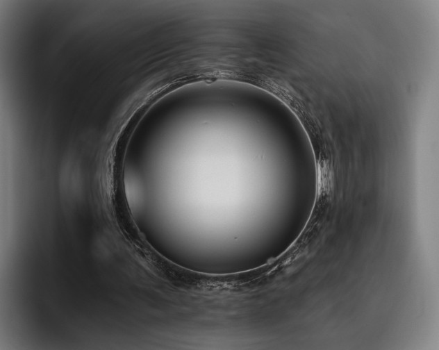 X0000093470291200710121430