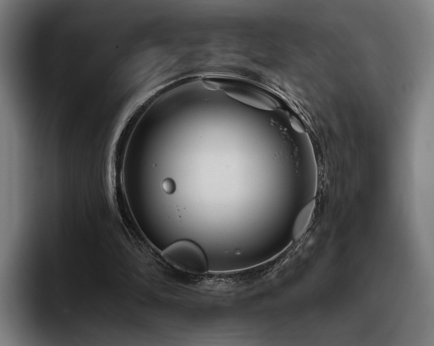 X0000093470294200710121430
