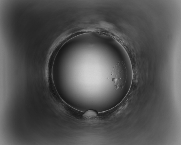 X0000093470296200710121430