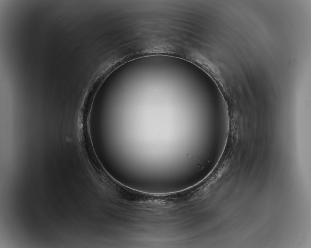 X0000093470298200710121430