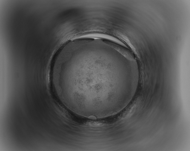 X0000093470299200710121430