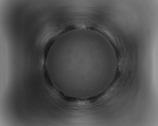 X0000093470314200710121430