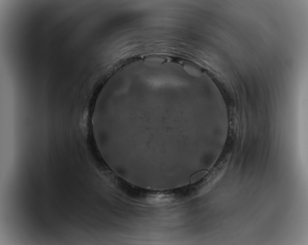 X0000093470319200710121430