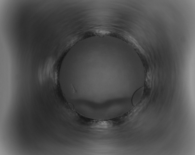 X0000093470330200710121429