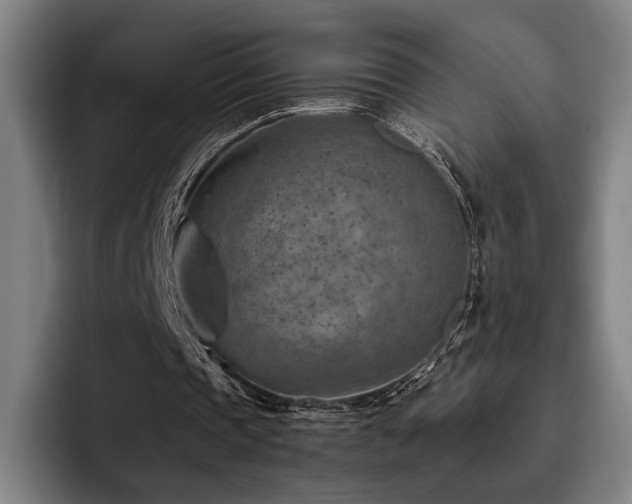 X0000093470337200710121429