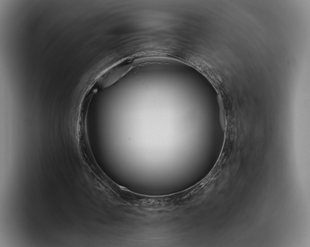 X0000093470338200710121429