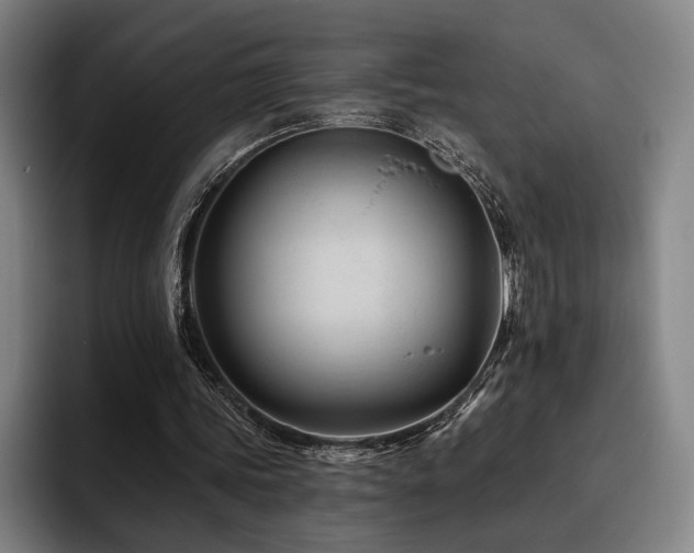 X0000093470339200710121429
