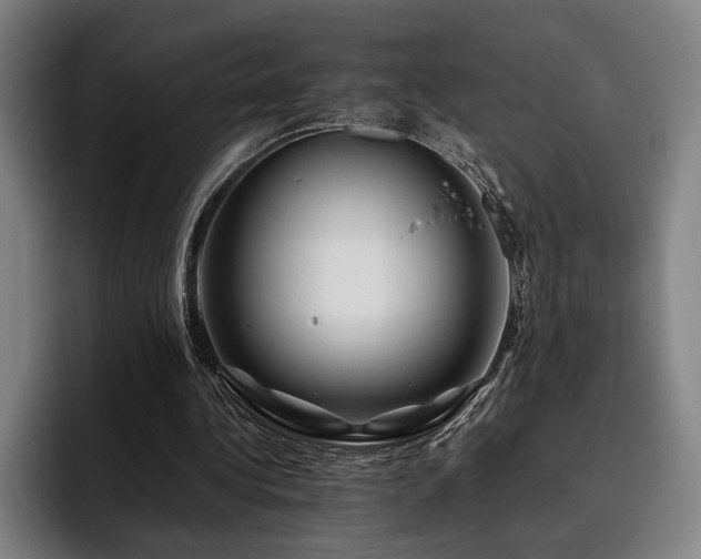 X0000093470340200710121429
