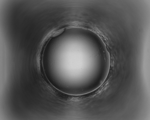 X0000093470341200710121429