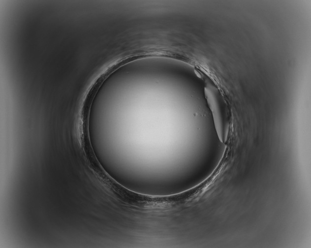 X0000093470342200710121429