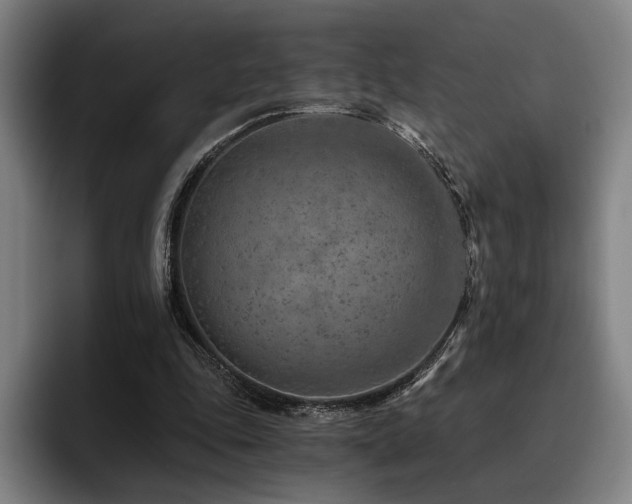 X0000093470343200710121429