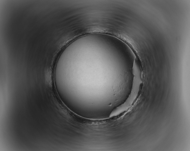 X0000093470345200710121429