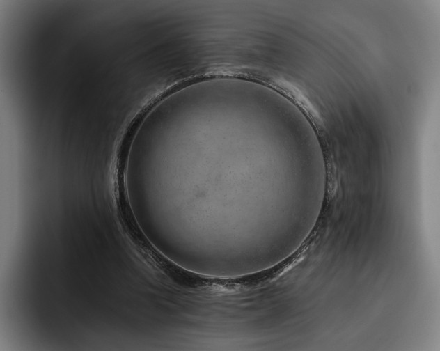 X0000093470346200710121429