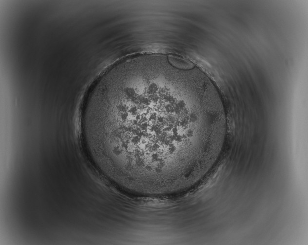 X0000093470347200710121429