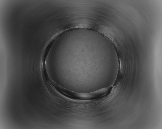 X0000093470348200710121429