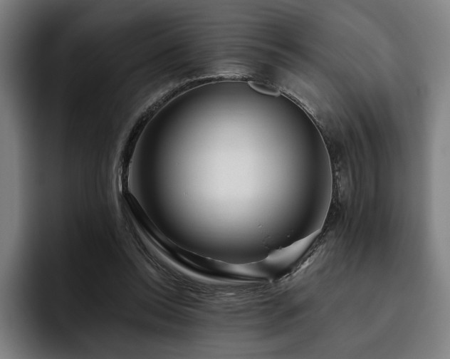 X0000093470350200710121429