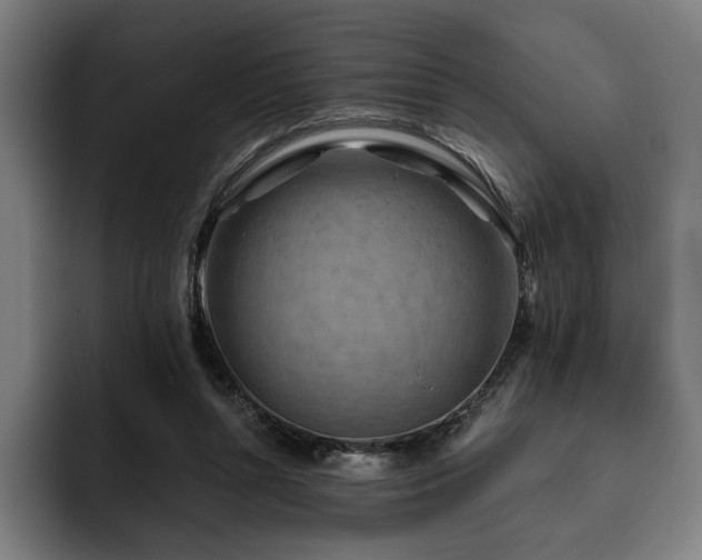 X0000093470352200710121429