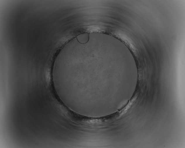 X0000093470353200710121429